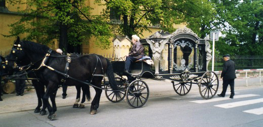 Pohřební kočár s koňmi